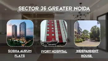 Sector-36 Gr Noida Resale Plots Price
